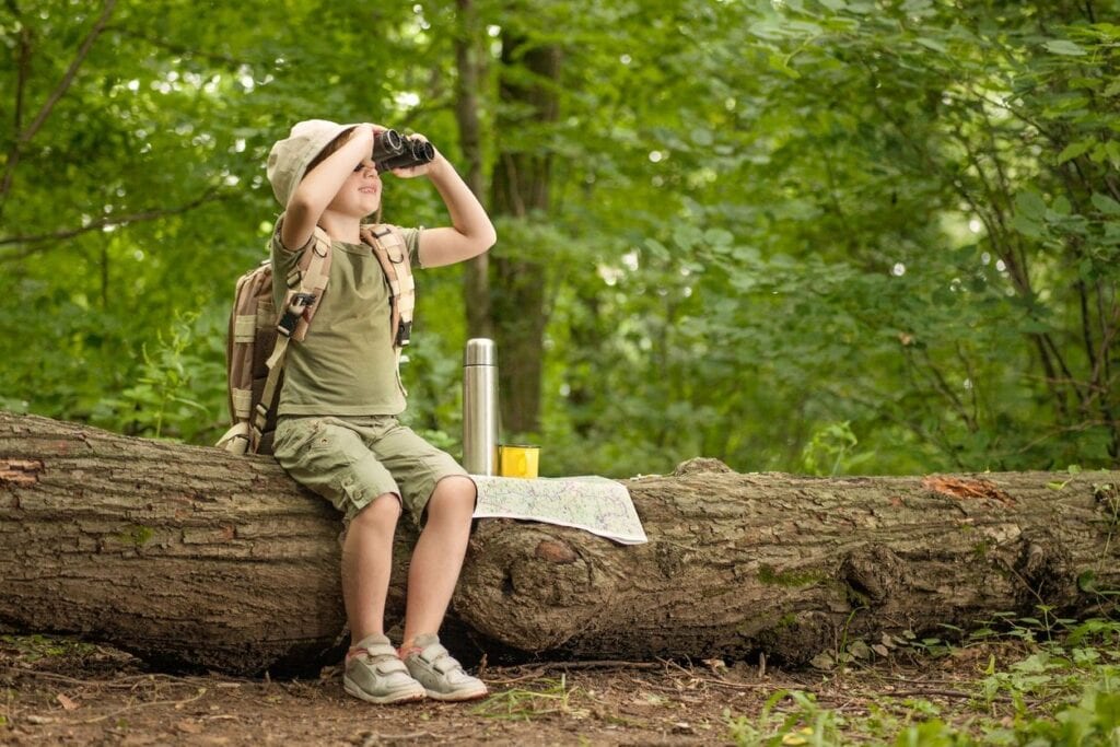 A little girl sitting on top of a tree branch looking at the sky.